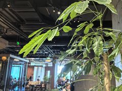 -园里火锅(仁和新城店)