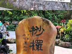 -深圳仙湖植物园