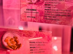 -中国航天博物馆