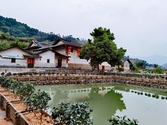 -福建土楼（华安）旅游区•大地土楼群