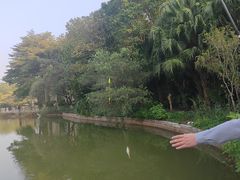 -清远恒大酒店·寻味清远