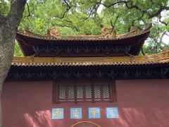 -普陀山风景名胜区-法雨禅寺