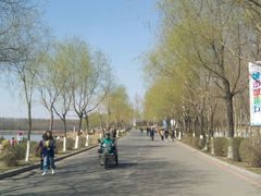 -丁香湖公园