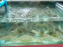 -班赞海鲜市场