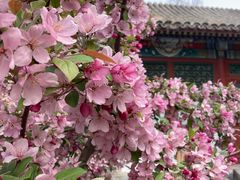 -元大都城垣遗址公园