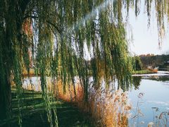 -安德鲁户外烧烤帐篷营地(马泉营店)