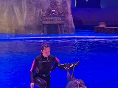 -华夏文旅海洋公园