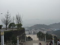 -铁山坪森林公园