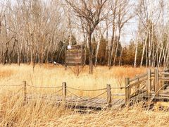 -野鸭湖国家湿地公园
