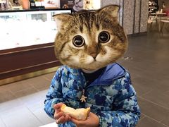 -卷心卷意·轻甜蛋糕(新光天地店)