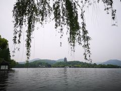 -杭州西湖柳莺里酒店
