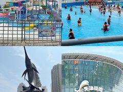 -海合安天津极地海洋公园