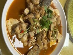 -煲来饱去冷水鱼