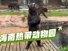 -海南热带野生动植物园