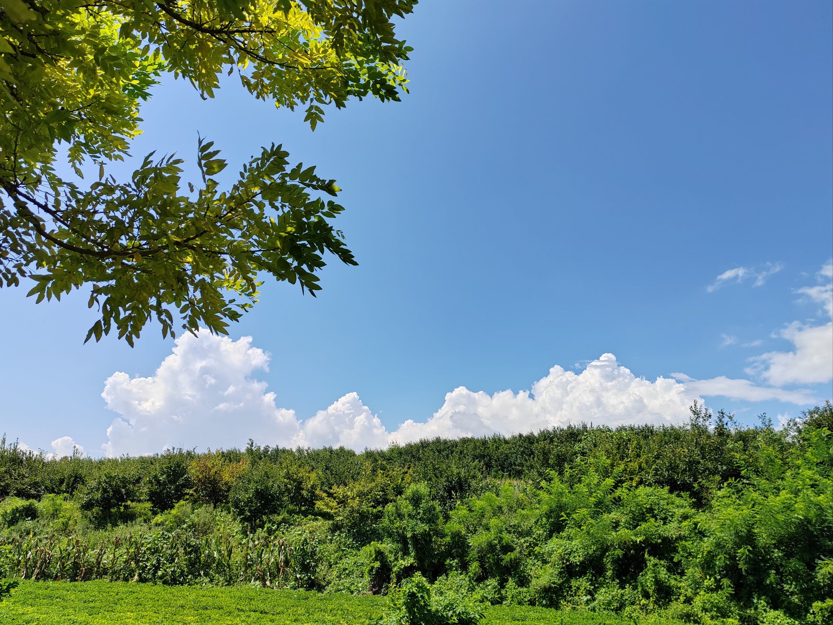 家乡美景,轻松get!