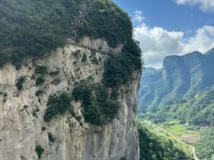 -鹿院坪生态旅游景区