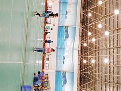 -珠海市体育中心-羽毛球馆