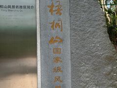 -梧桐山风景名胜区