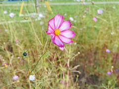 -汉长安城未央宫国家考古遗址公园