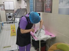 -北京观赏动物医院·24小时大型综合·猫专科·异宠专科