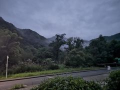 -石台牯牛降景区