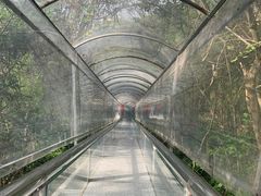 -巨石山景区