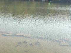 -上海怡沁园度假酒店