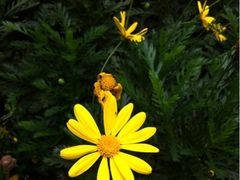iphone_upload_pic-汇龙潭