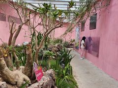 -正佳雨林生态植物园
