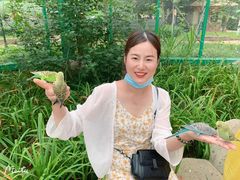 -北戴河集发农业梦想王国