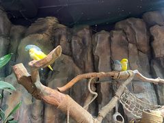-正佳雨林生态植物园