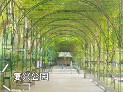 -复兴公园