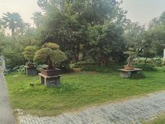 -扬州大运河文化旅游度假区·盆景园