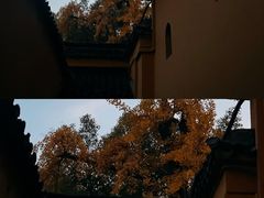 -西园戒幢律寺
