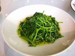 绿叶时蔬-梅林春晓花园餐厅