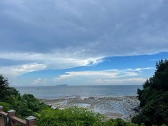 -贝壳沙滩