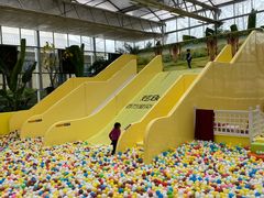 -南宫五洲植物乐园