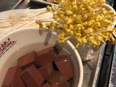 -鲁西肥牛(九方购物中心店)