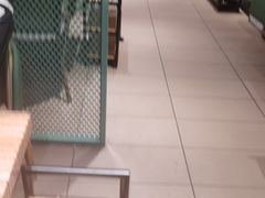 -春润大地海南椰子鸡(沙井京基百纳广场店)