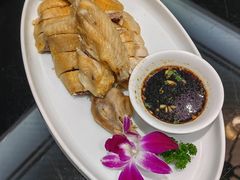 三黄鸡-碧丽宫大酒店(召稼楼店)