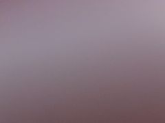 -胜丰草莓采摘园