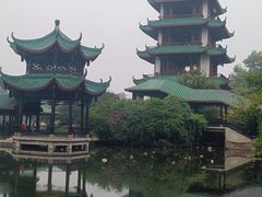 -桂湖森林公园