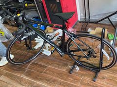 -道路口单车爱瓦士dahon大行