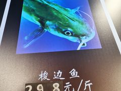 -蛙一刀·麻椒鱼火锅(金仙桥店)