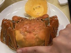 清蒸大闸蟹-王宝和酒家(黄浦店)