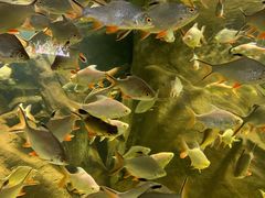 -福州罗源湾海洋世界旅游区