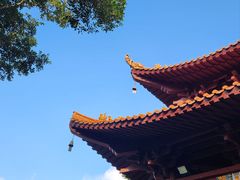 -深圳仙湖植物园