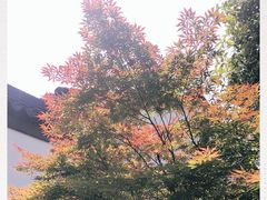 -南京民俗博物馆(甘熙故居)