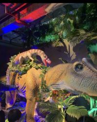 -恐龙探索乐园(磁器口店)