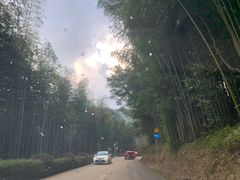 -广州市石门国家森林公园